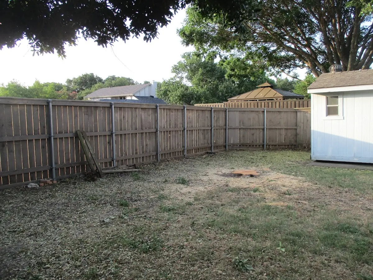 Cleared yard after professional tree removal in Azalea