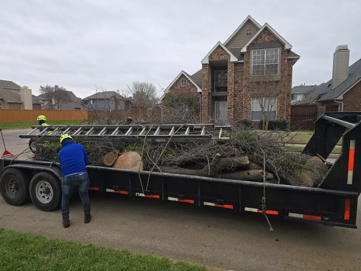 Expert Crown Reduction with proper safety equipment in Azalea